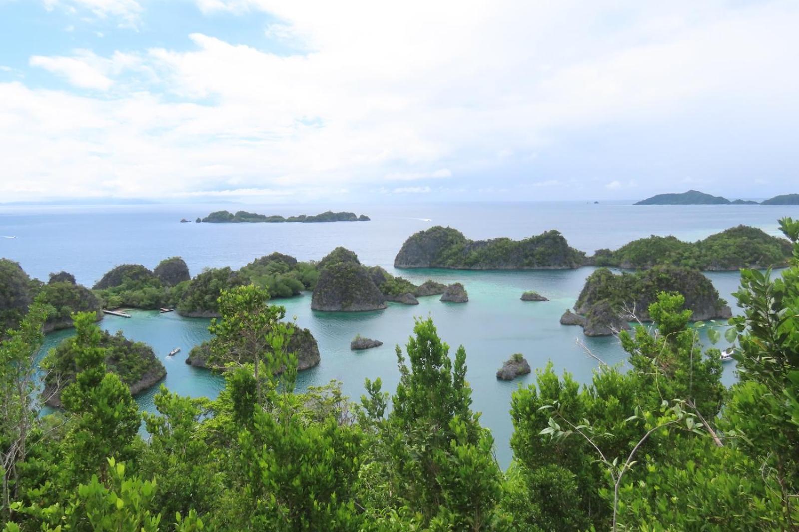 Nyanse Homestay - Raja Ampat Besir Exterior foto