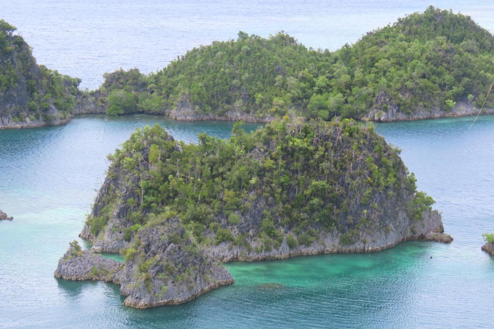 Nyanse Homestay - Raja Ampat Besir Exterior foto