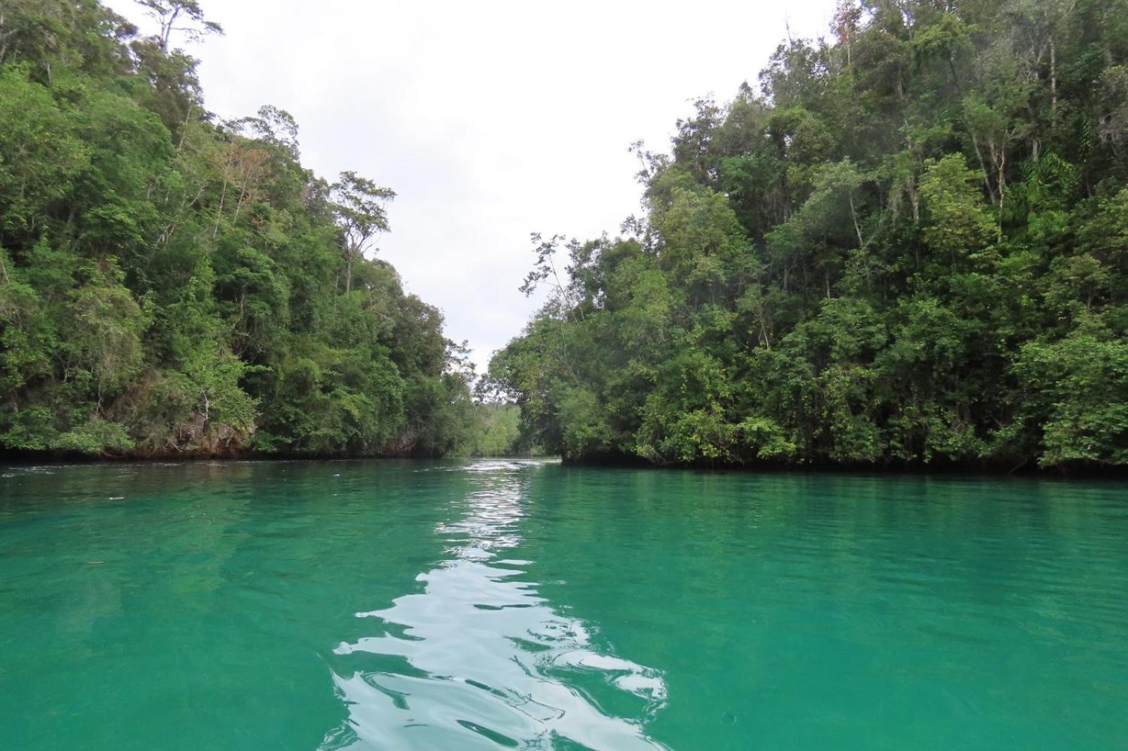 Nyanse Homestay - Raja Ampat Besir Exterior foto