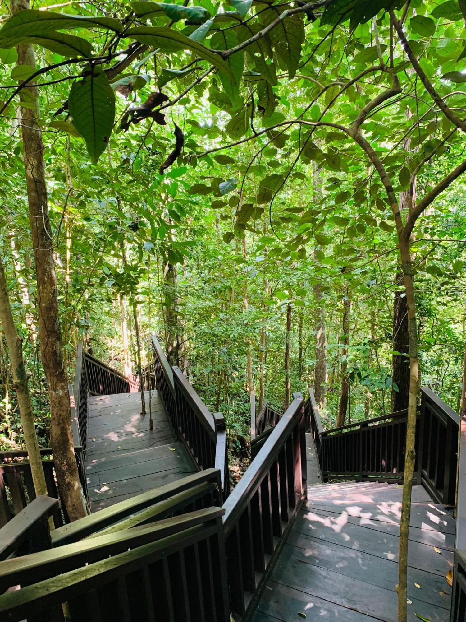 Nyanse Homestay - Raja Ampat Besir Exterior foto