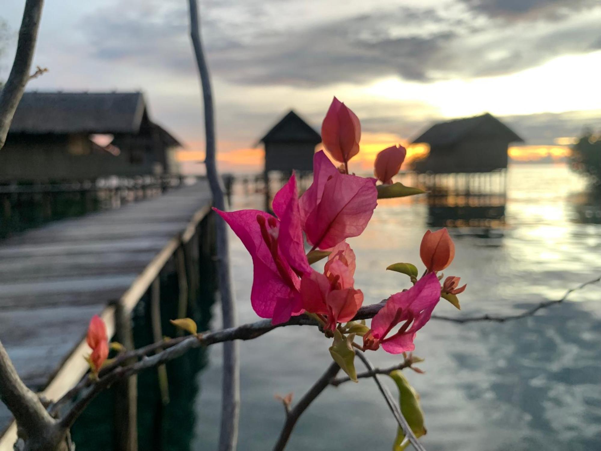Nyanse Homestay - Raja Ampat Besir Exterior foto